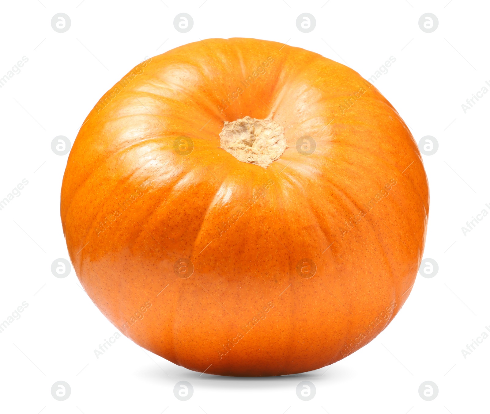 Photo of One fresh orange pumpkin isolated on white