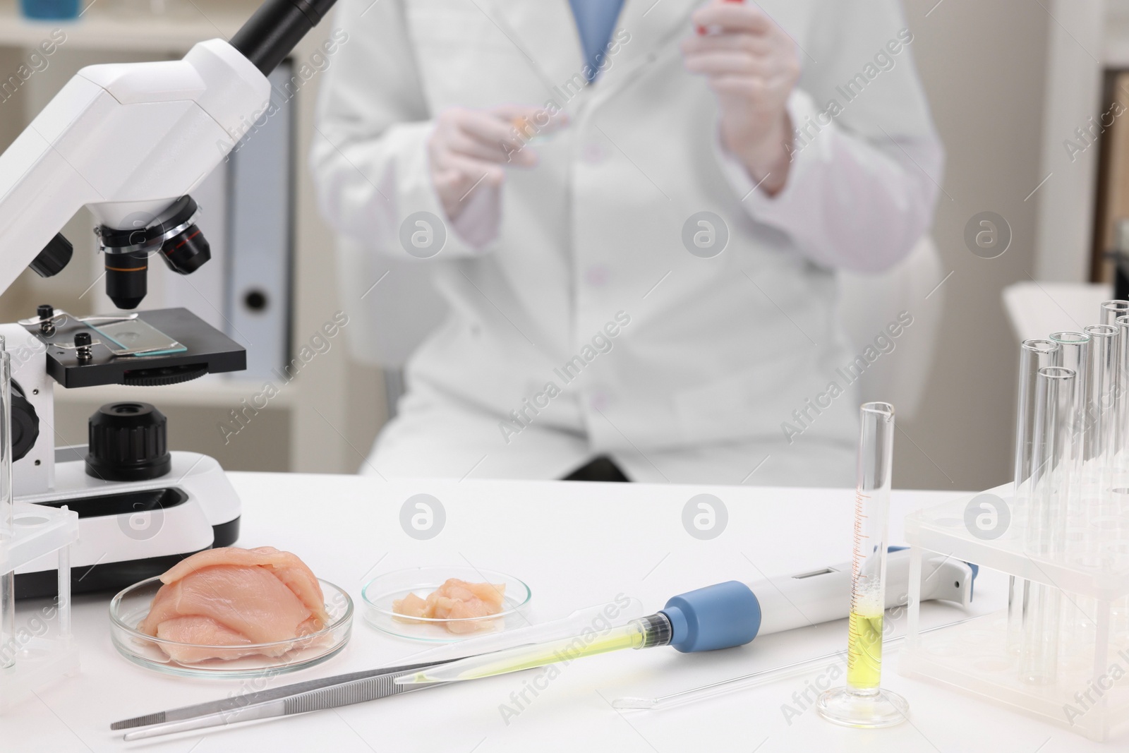 Photo of Quality control. Food inspector examining meat in laboratory, closeup