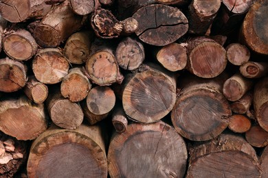 Photo of Pile of different cut wood logs as background, closeup
