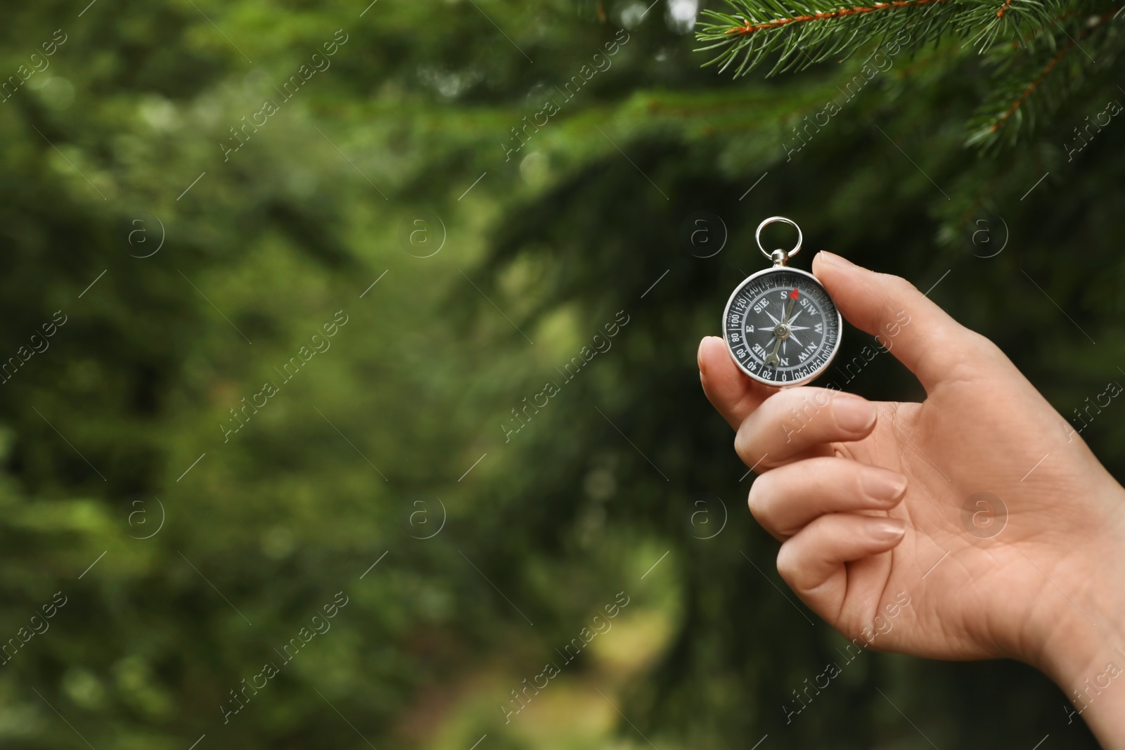 Photo of Woman checking modern compass in wilderness, closeup with space for text