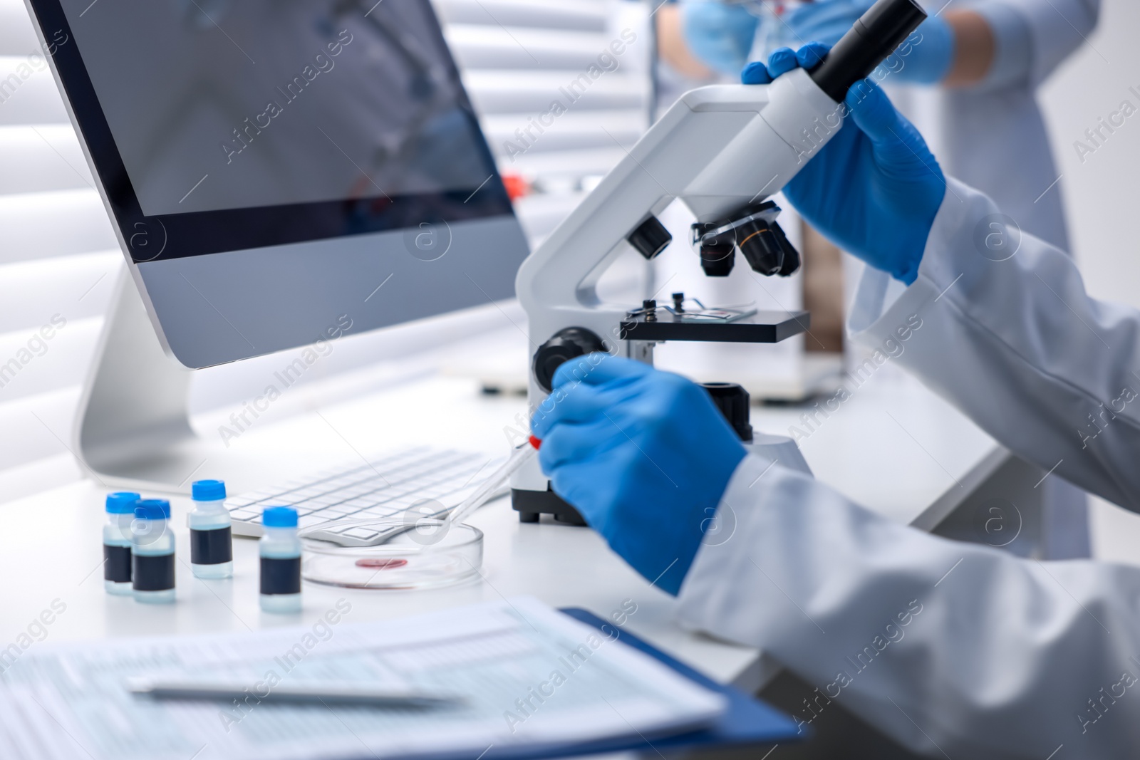 Photo of Scientists working with samples in laboratory, closeup. Medical research