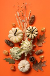 Flat lay composition with different ripe pumpkins on orange background