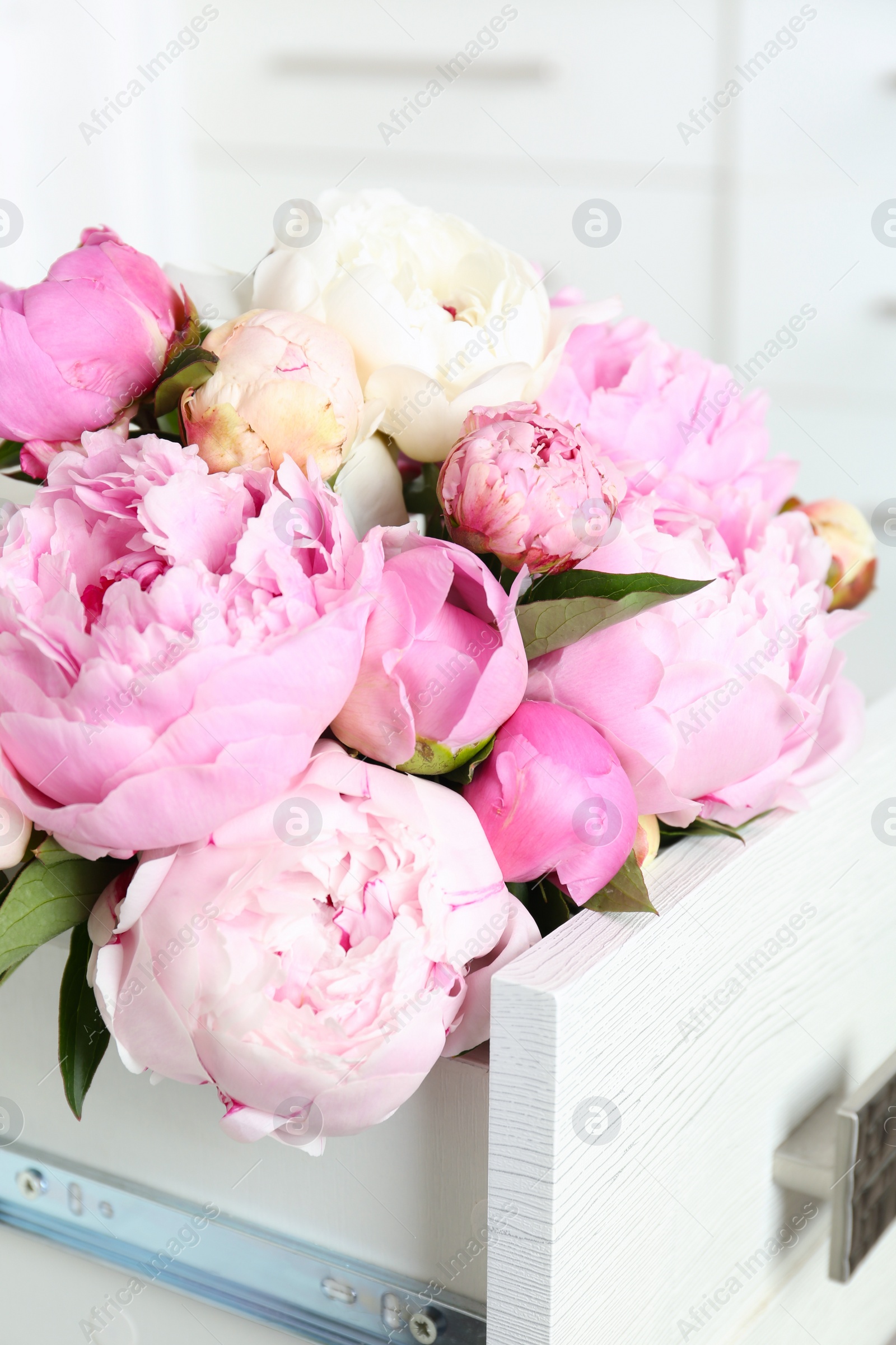 Photo of Bouquet of beautiful peonies in commode drawer indoors