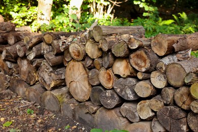 Photo of Pile of different cut wood logs outdoors