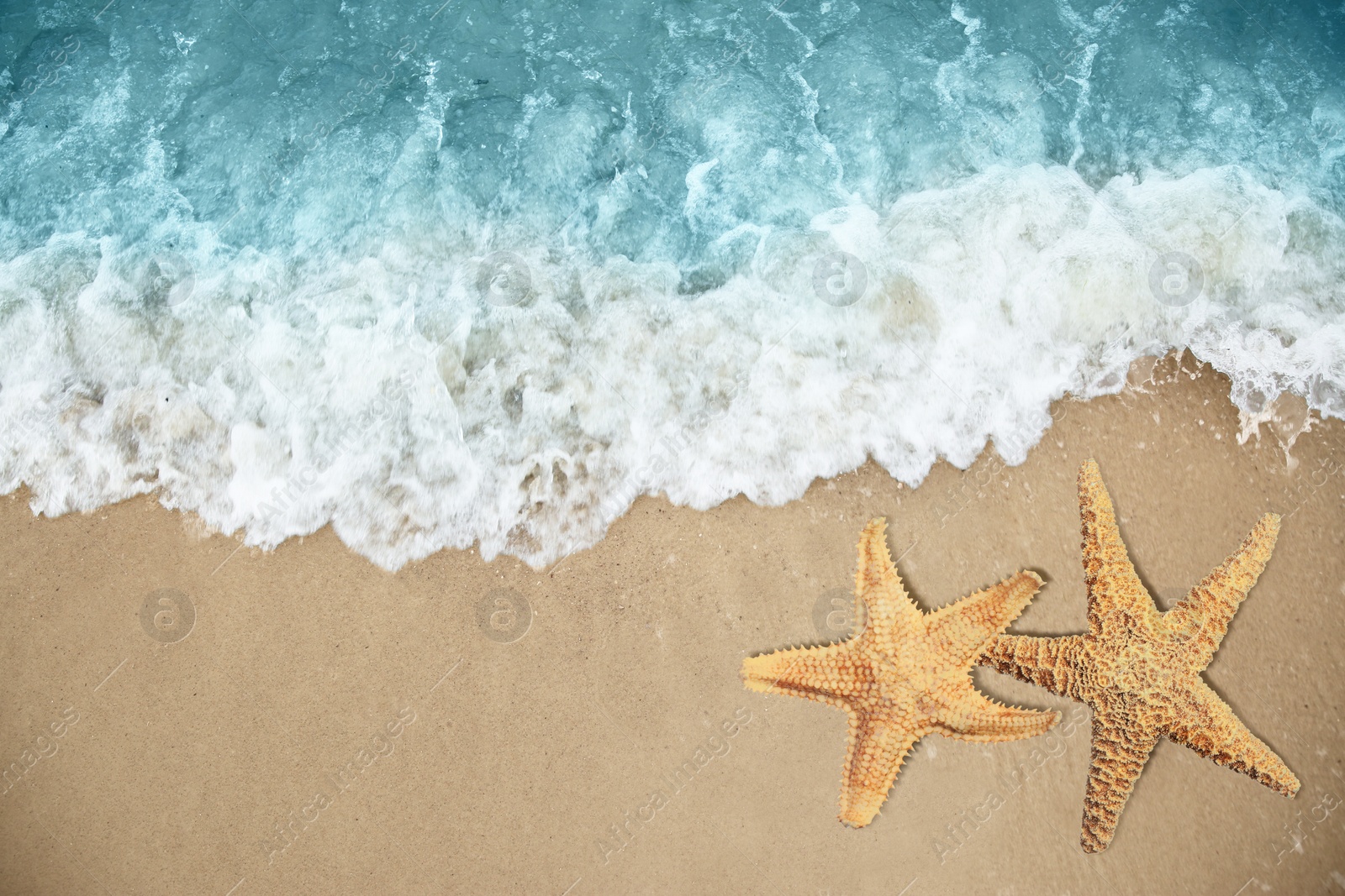 Image of Beautiful waves and sea stars on sandy beach, top view