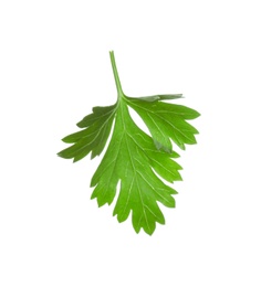 Photo of Fresh green organic parsley on white background