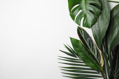 Photo of Flat lay composition with tropical leaves and space for text on white background