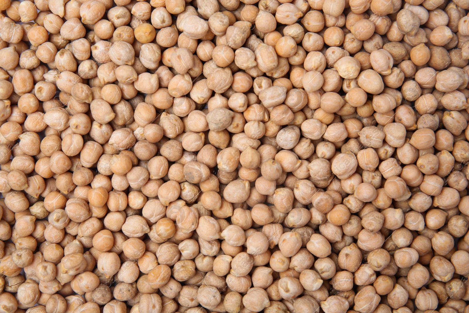 Photo of Many dried peas as background