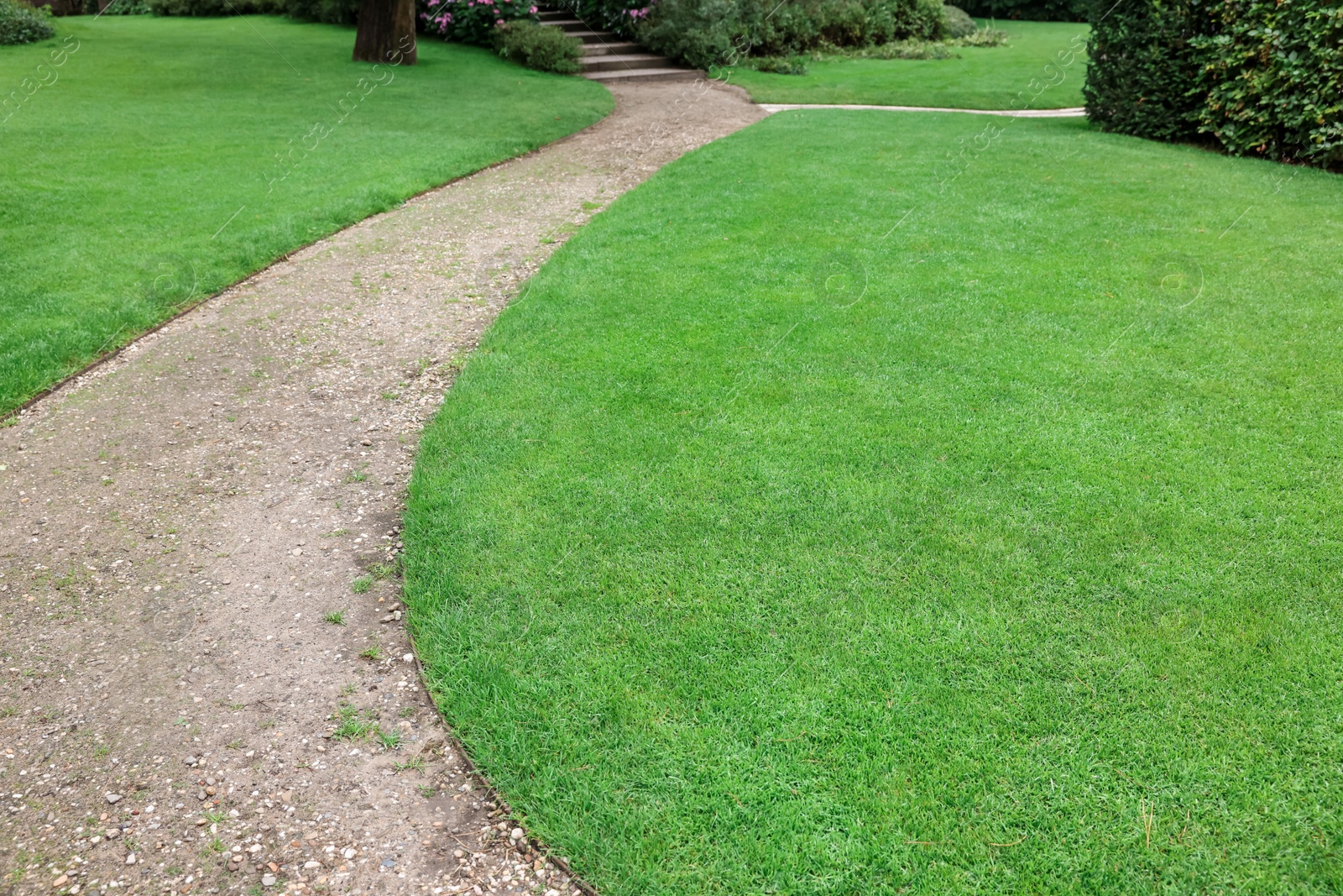 Photo of Beautiful freshly cut green lawn in park