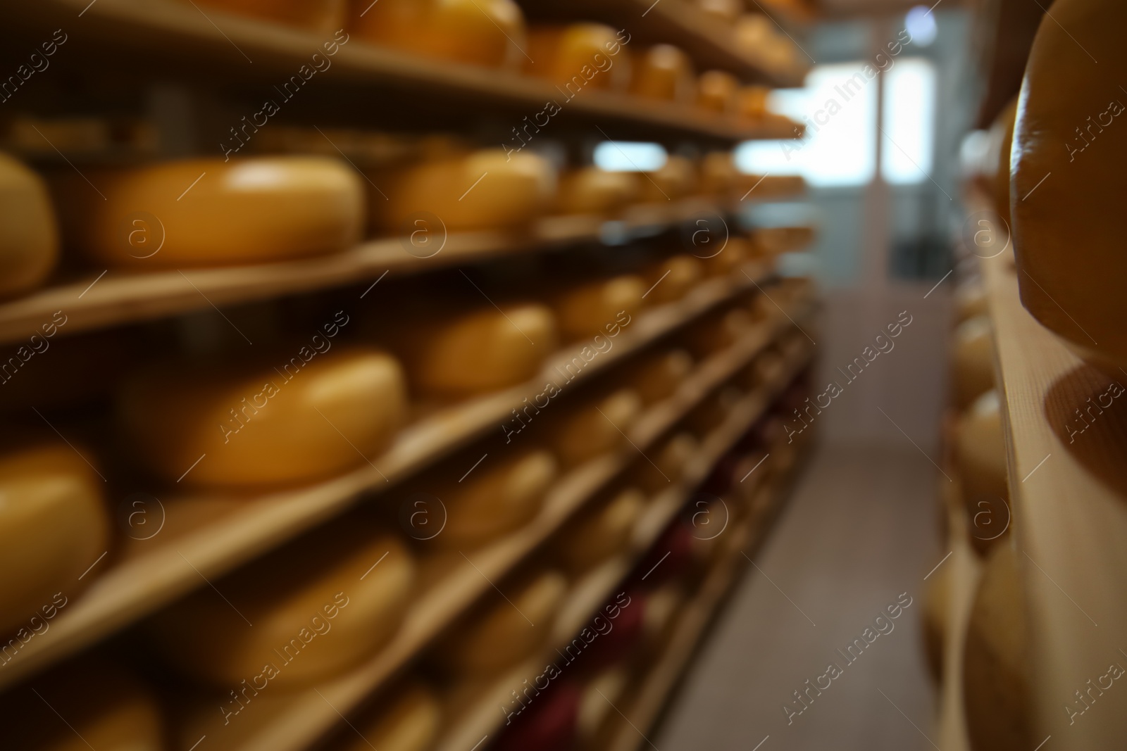 Photo of Blurred view of factory warehouse with fresh cheese heads on rack
