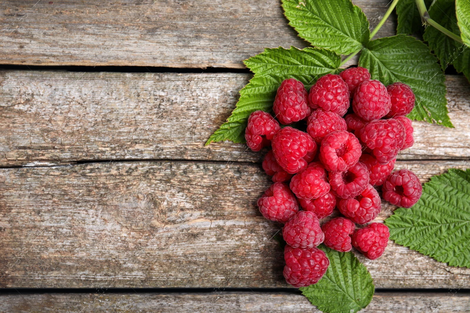 Photo of Fresh ripe raspberries with green leaves on wooden table, flat lay. Space for text