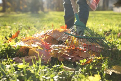 Photo of Woman raking fall leaves in park, closeup