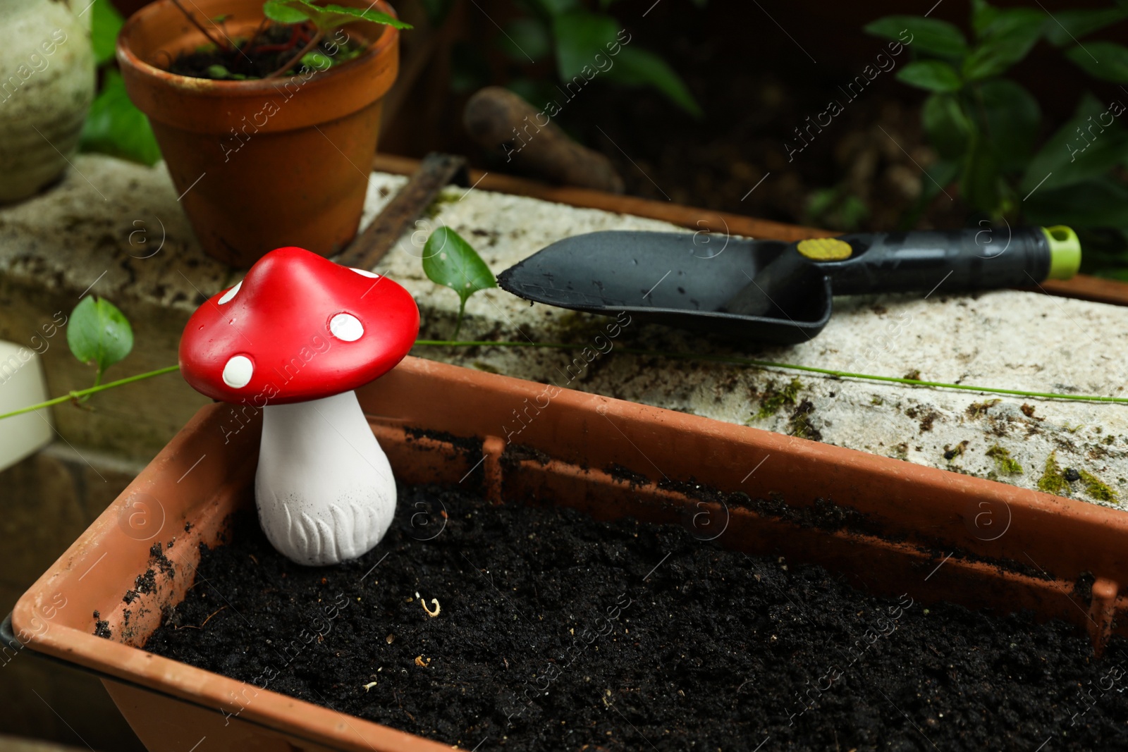 Photo of Shovel on parapet near pot with soil and decorative mushroom outdoors. Gardening season