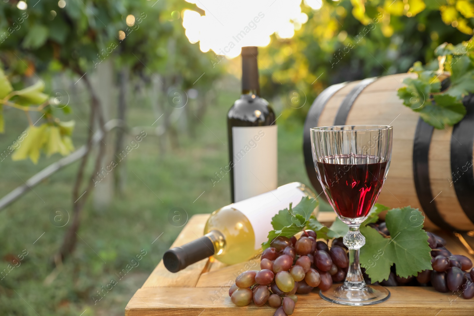 Photo of Composition with wine and ripe grapes on wooden table in vineyard