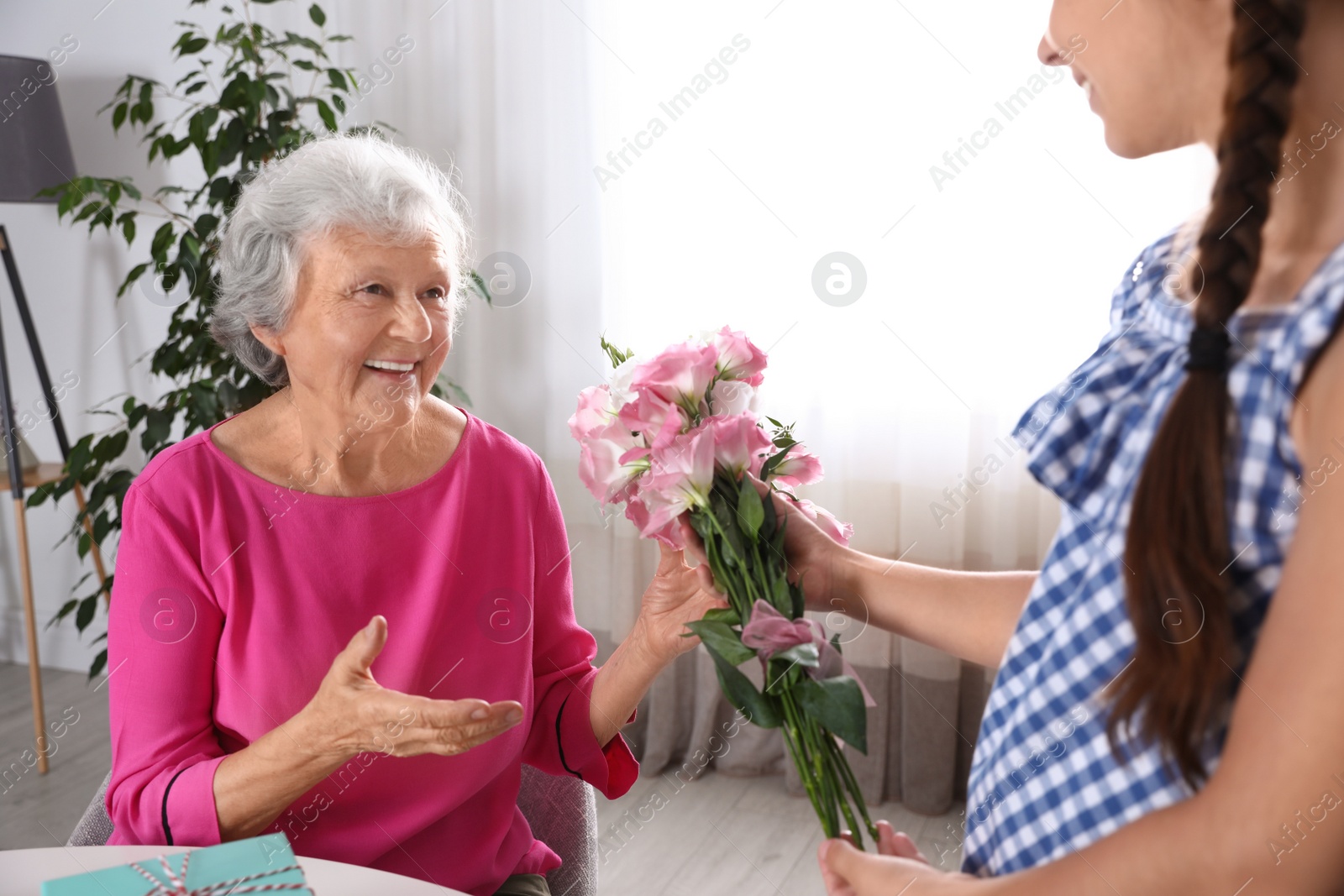 Photo of Preteen girl congratulating her granny at home. Happy Mother's Day