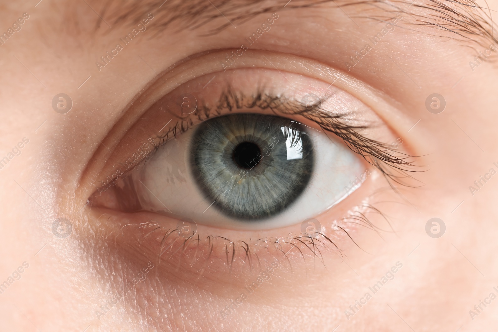 Photo of Macro photo of woman with beautiful eyes