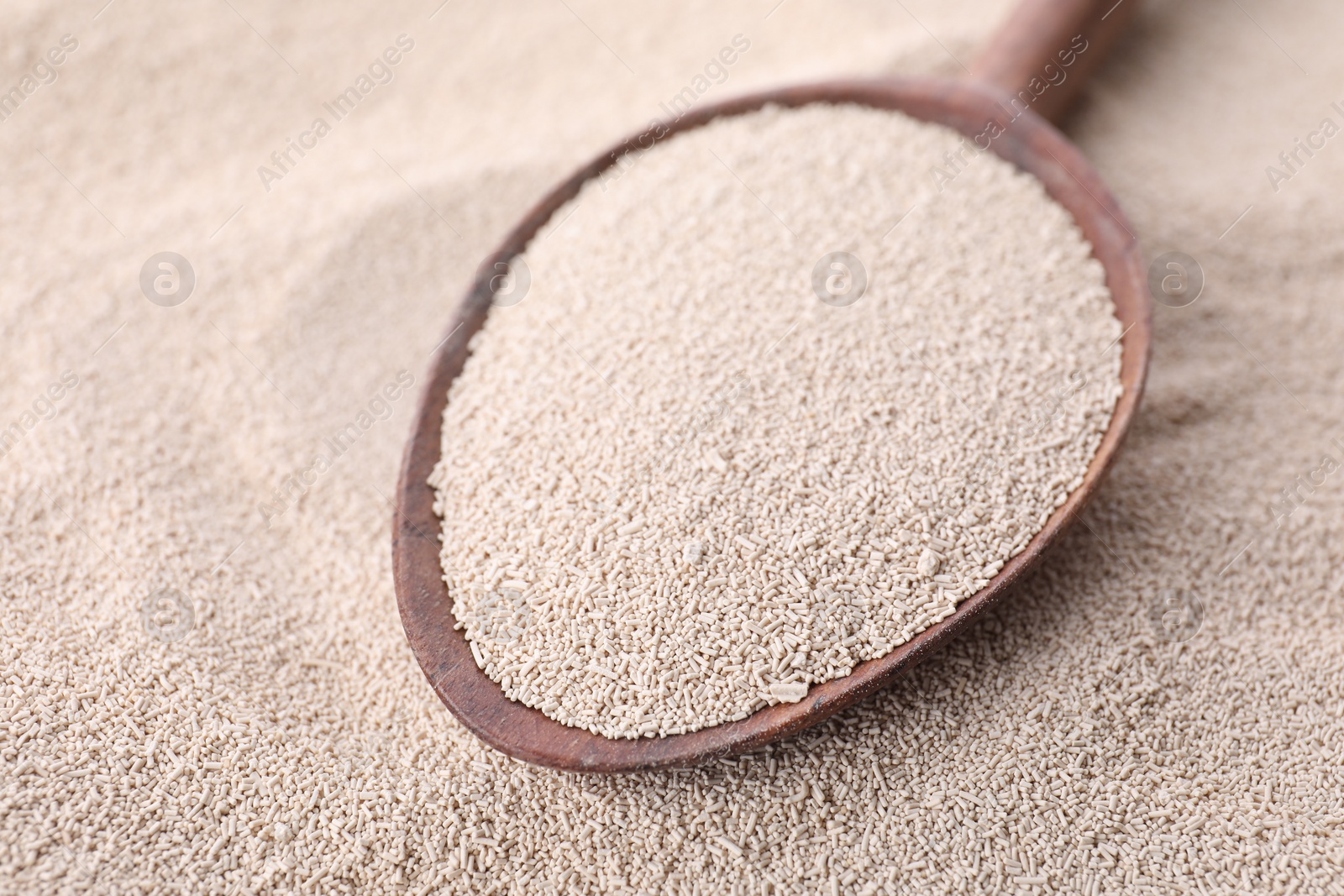 Photo of Spoon on pile of active dry yeast, closeup