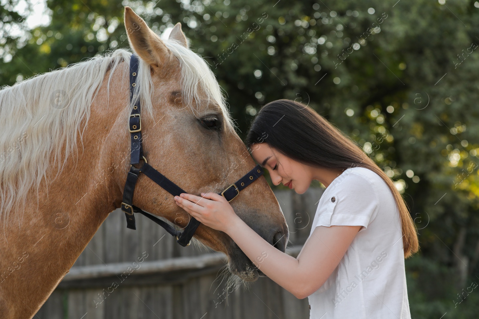 Photo of Beautiful woman with adorable horse outdoors. Lovely domesticated pet