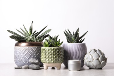 Photo of Beautiful Haworthia and Gasteria in pots with decor on grey table against white background. Different house plants