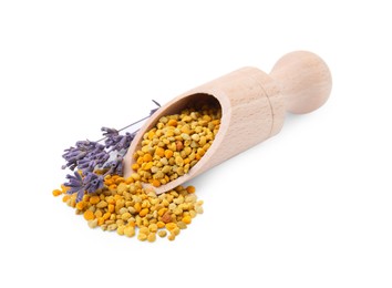 Scoop with fresh bee pollen granules and lavender isolated on white