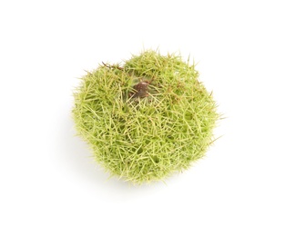 Photo of Fresh sweet edible chestnut in green husk isolated on white