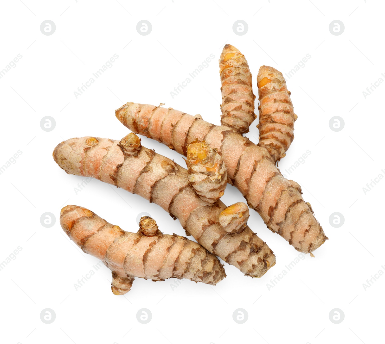 Photo of Fresh turmeric roots isolated on white, top view