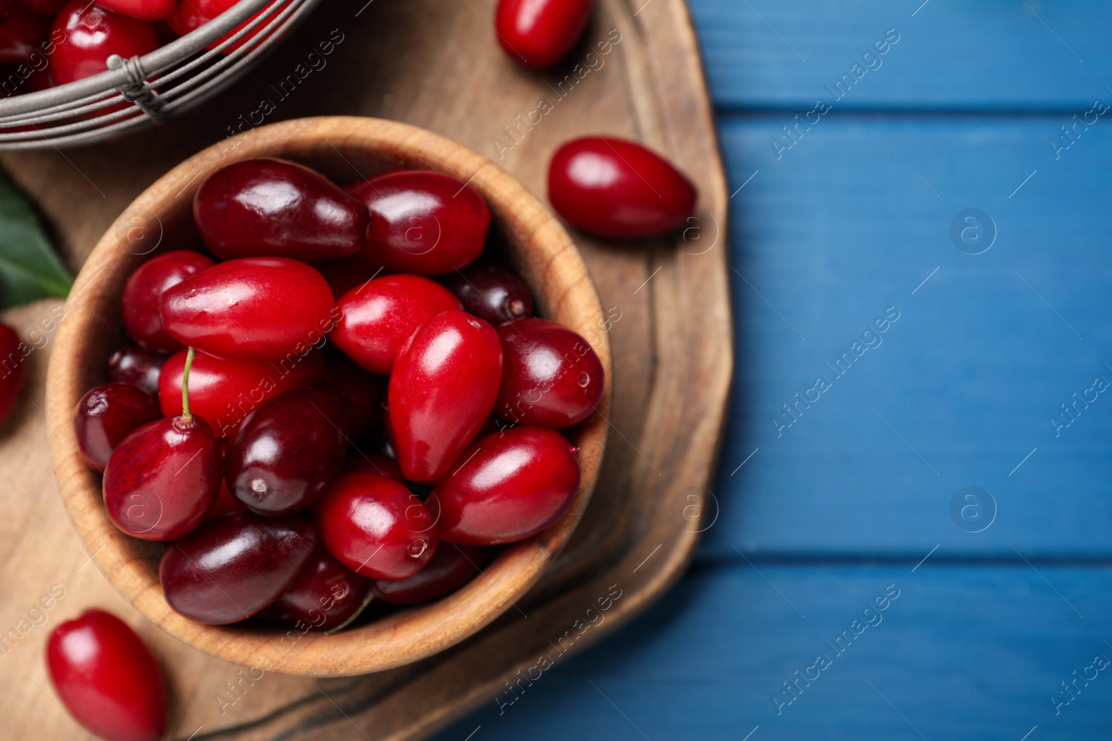 Photo of Fresh ripe dogwood berries on blue wooden table, flat lay. Space for text