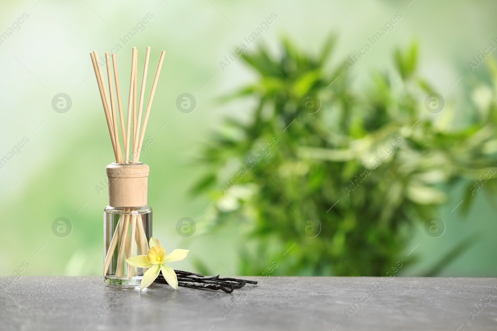 Photo of Reed air freshener with vanilla flower and sticks on grey table against blurred green background. Space for text