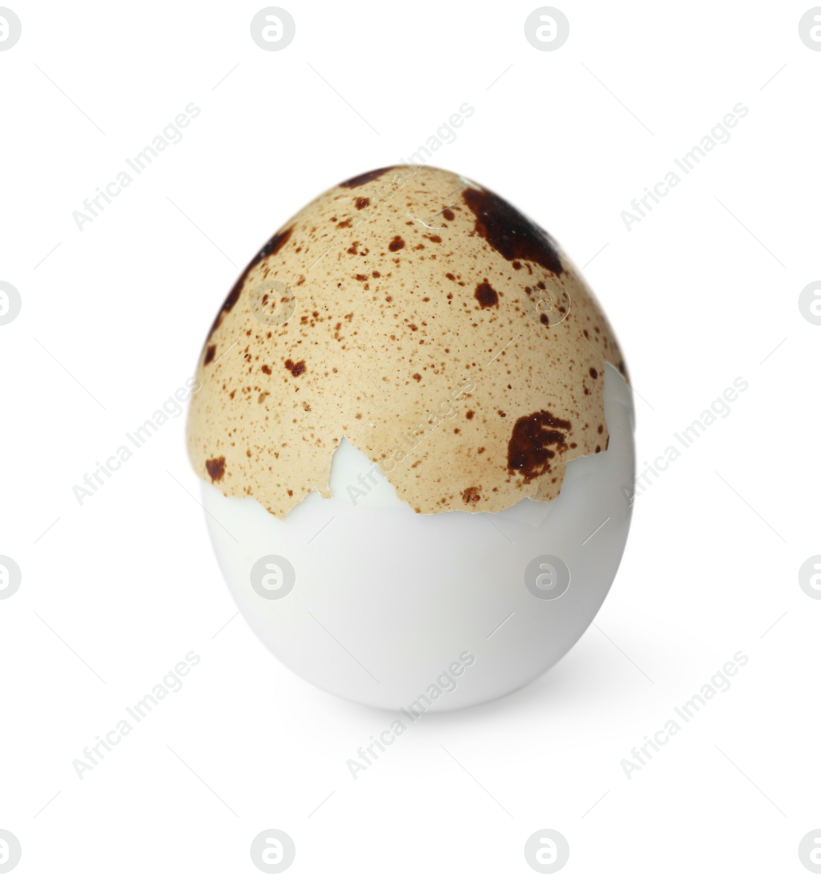 Photo of Boiled quail egg in shell isolated on white