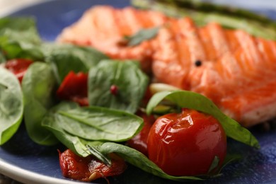 Tasty grilled tomatoes, spinach and salmon on plate, closeup