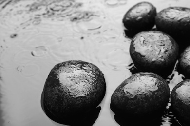 Photo of Wet spa stones on grey background. Space for text