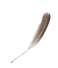 Photo of Feather pen on white background, top view