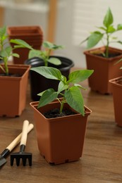 Photo of Seedlings growing in plastic containers with soil and gardening tools on wooden table