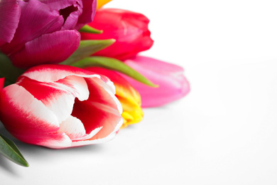 Beautiful bright spring tulips on white background, closeup