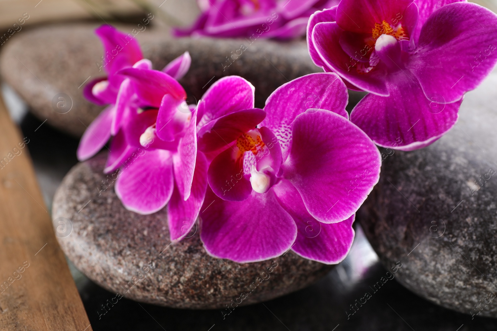 Photo of Spa stones and orchid flowers on tray, closeup