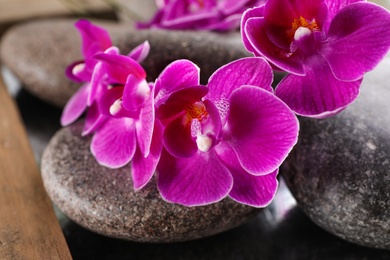 Photo of Spa stones and orchid flowers on tray, closeup