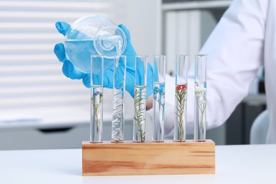 Photo of Scientist pouring water into test tube with plant at white table in laboratory, closeup