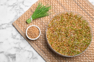 Photo of Flat lay composition with growing wheat grass on table