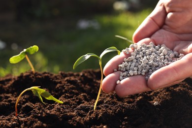 Photo of Man fertilizing soil with growing young sprouts outdoors, closeup