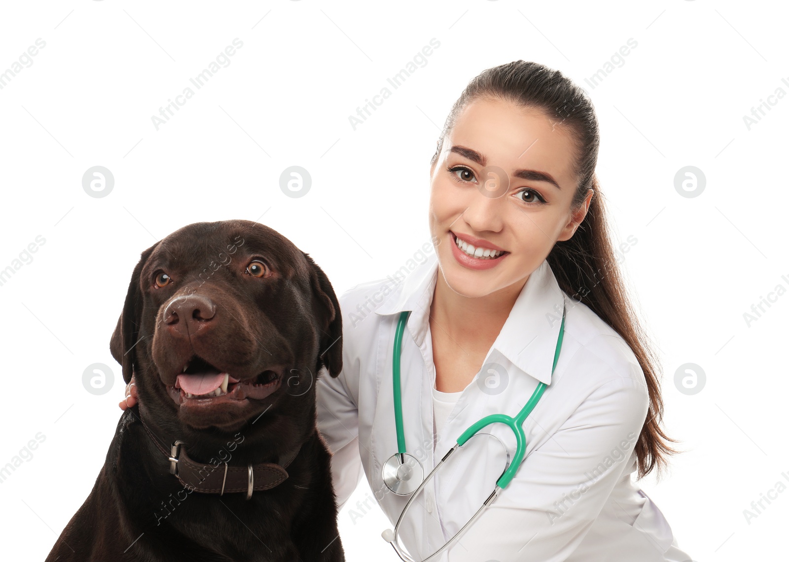 Photo of Veterinarian doc with dog on white background