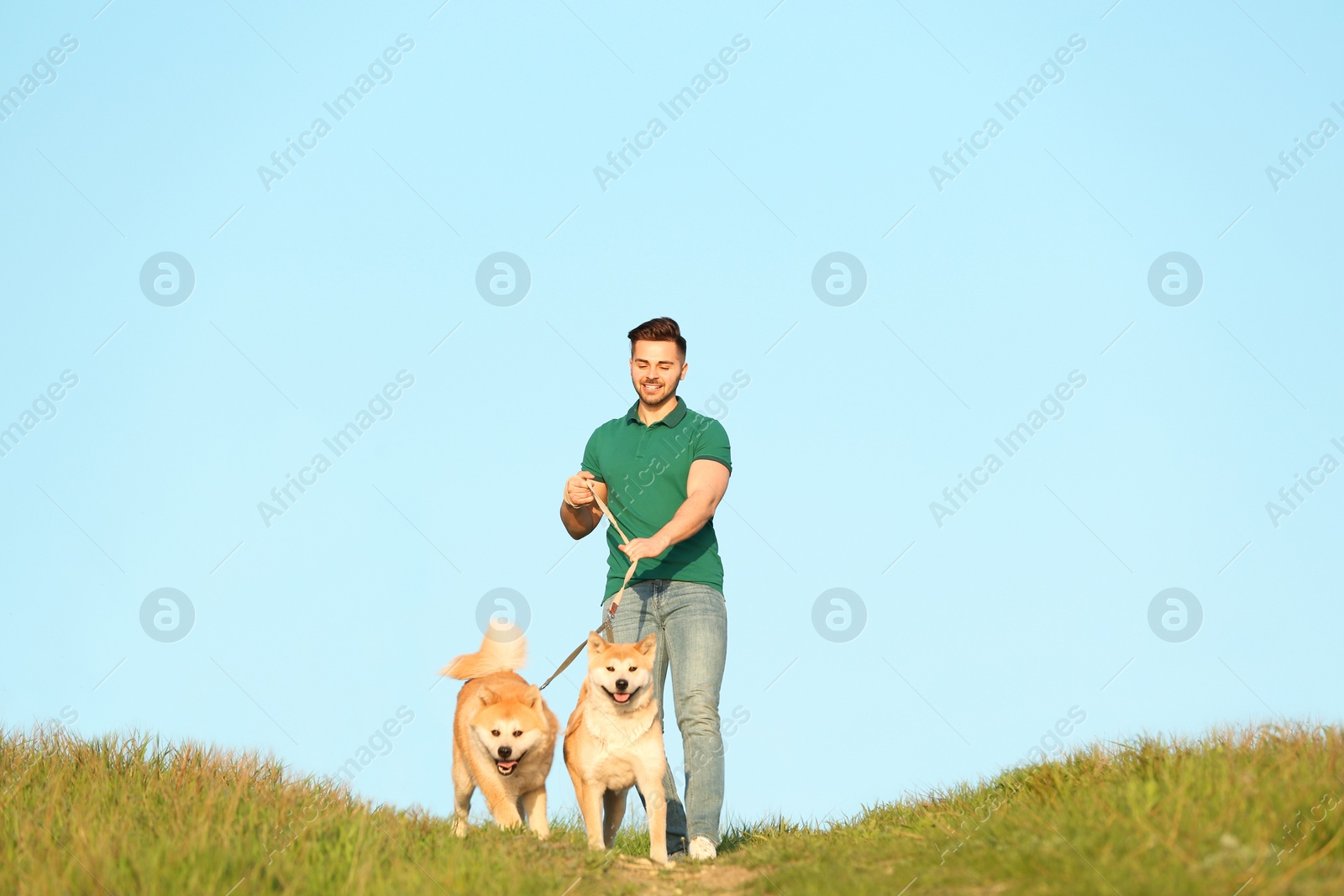 Photo of Young man walking his adorable Akita Inu dogs outdoors