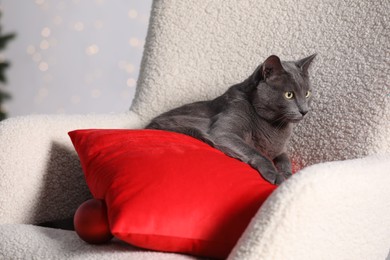 Cute cat with Christmas ball and red pillow on armchair indoors
