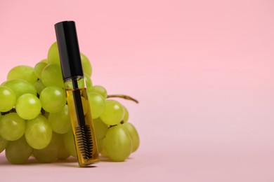 Photo of Tube of eyelash oil and fresh grape on pink background. Space for text