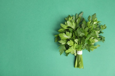 Photo of Bunch of fresh green parsley on color background, view from above. Space for text