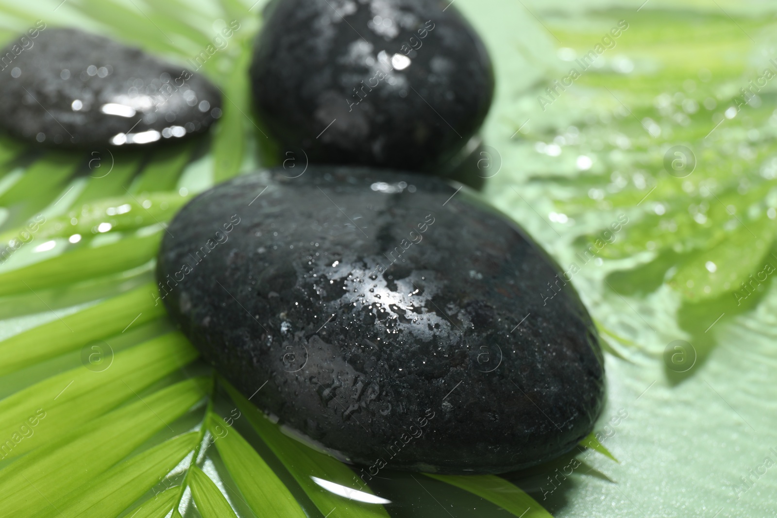 Photo of Spa stones and palm leaves in water on light green background, closeup