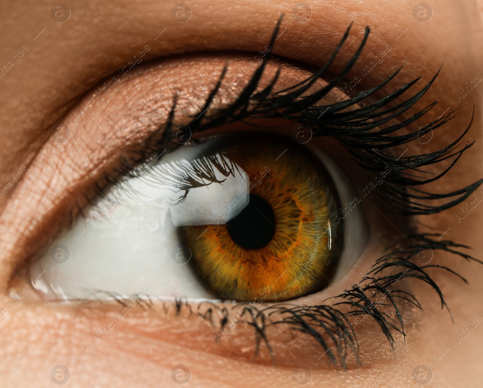 Image of Closeup view of woman with beautiful eye