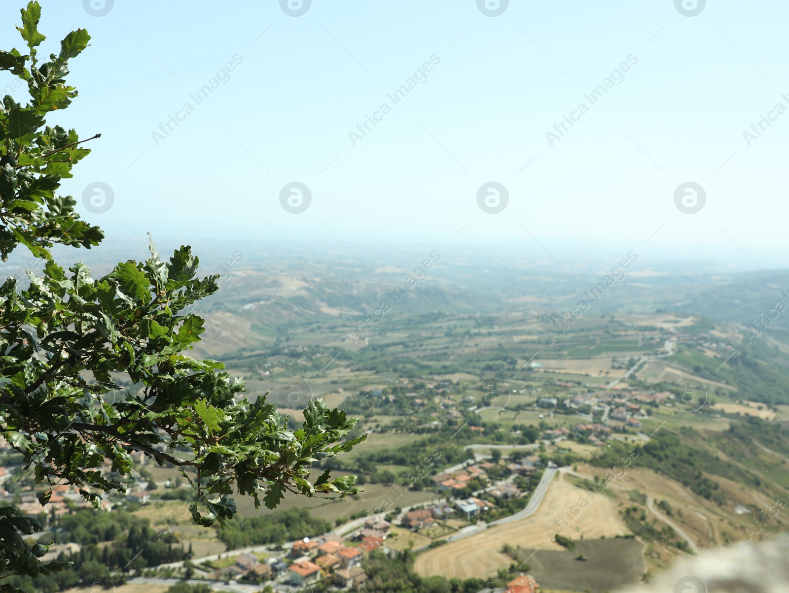 Photo of Tree branch and picturesque view of countryside on sunny day, space for text