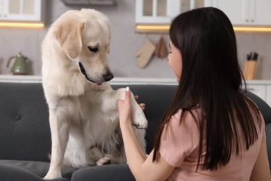 Cute Labrador Retriever dog giving paw to woman on sofa at home. Adorable pet