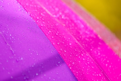 Photo of Bright color umbrella under rain outdoors, closeup