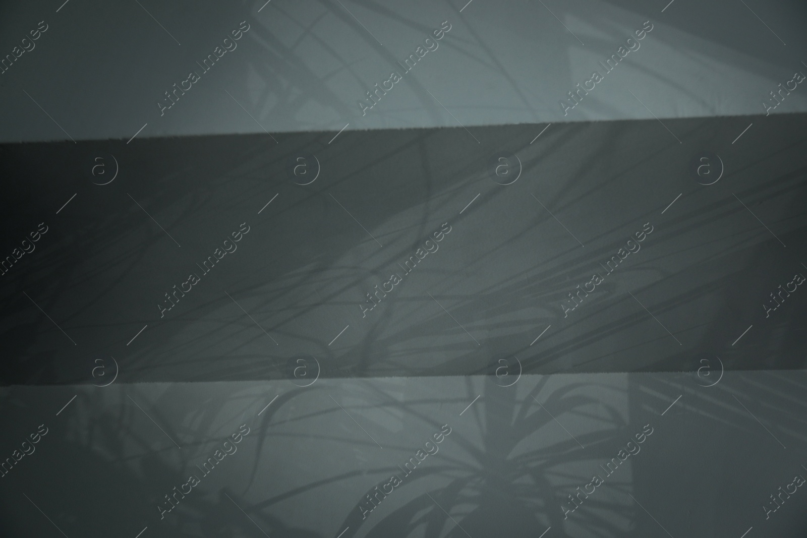 Photo of Shadow from window and houseplants on dark grey wall indoors